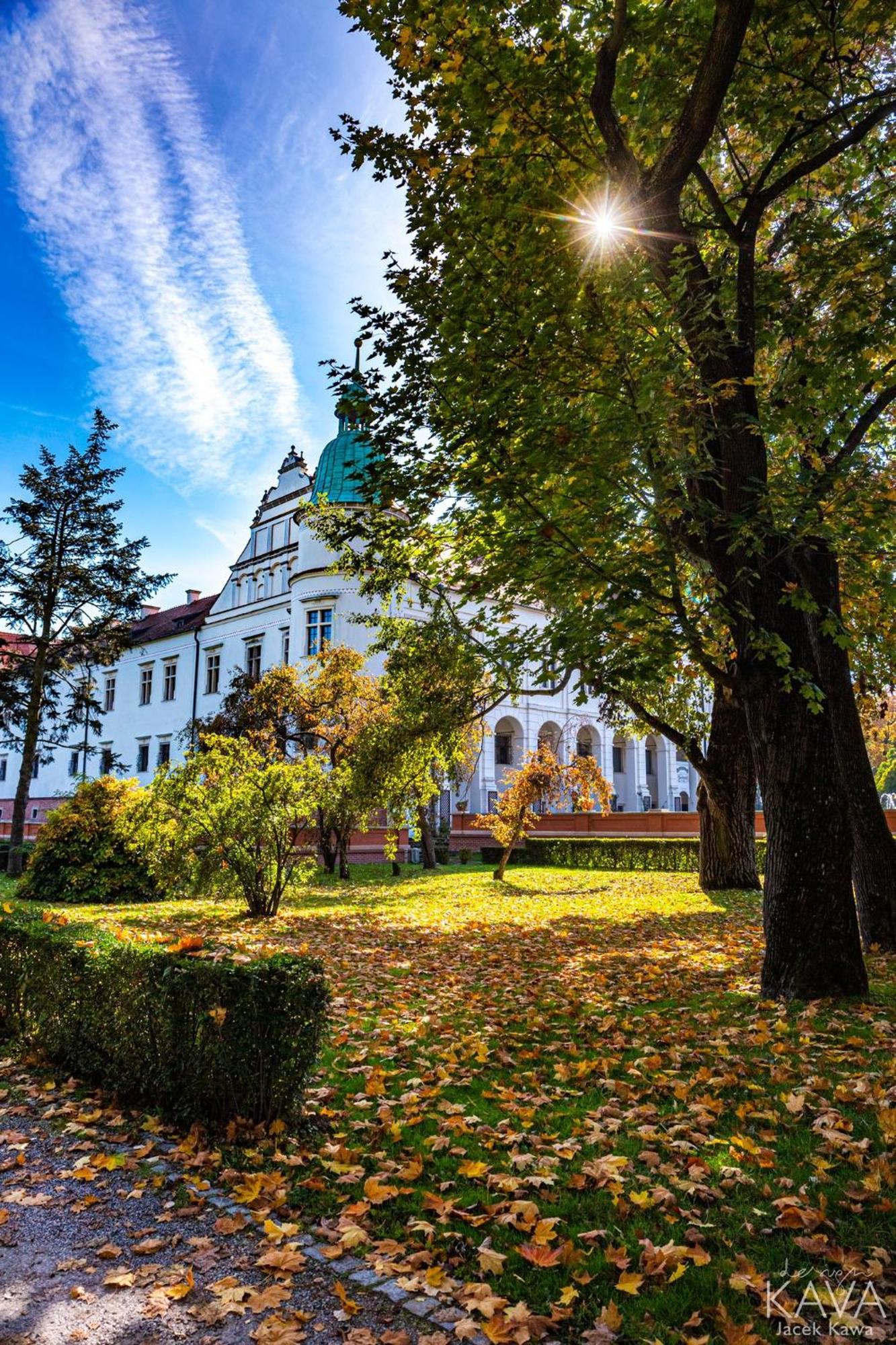 Zamek W Baranowie Sandomierskim Baranów Sandomierski Exterior foto